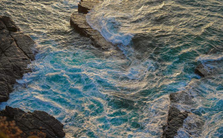 a bird sitting on top of a rock next to the ocean