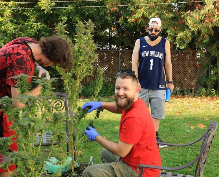 boy in blue crew neck t-shirt and gray shorts sitting on red metal chair