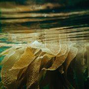 multicolored fringe sheet