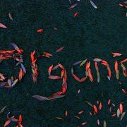 a group of red and orange streamers that spell out the word project