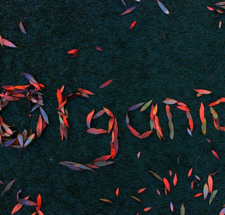 a group of red and orange streamers that spell out the word project