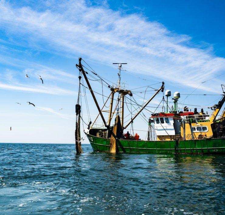 green and brown boat on sea under blue sky during daytime