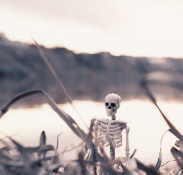 white and black skeleton figurine on brown grass during daytime