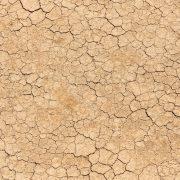 brown and white concrete floor