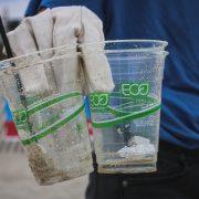 person holding two clear plastic disposable cups