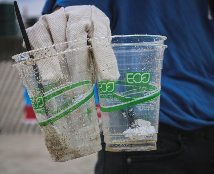 person holding two clear plastic disposable cups