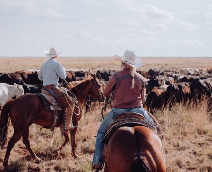a couple of people riding on the backs of horses