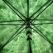 photo of green umbrella