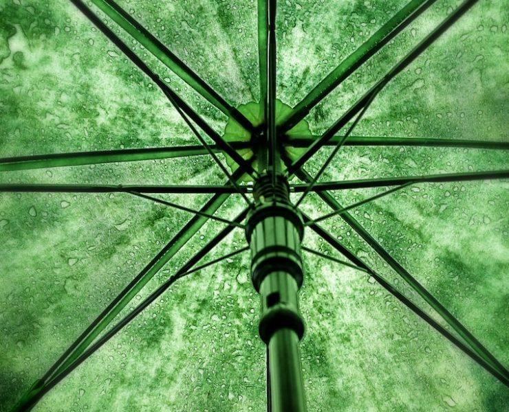 photo of green umbrella