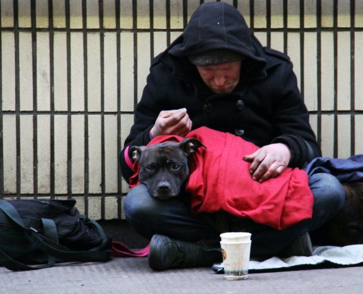 dog on top of person's lap while sitting on ground at daytime
