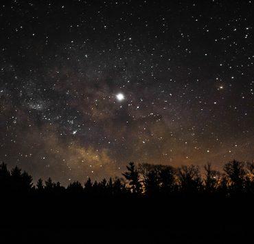 brown and black milky way