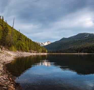 a body of water surrounded by a forest