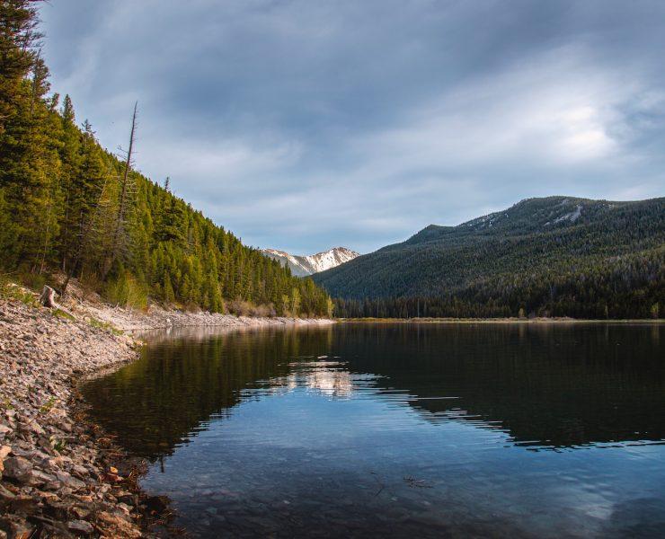 a body of water surrounded by a forest