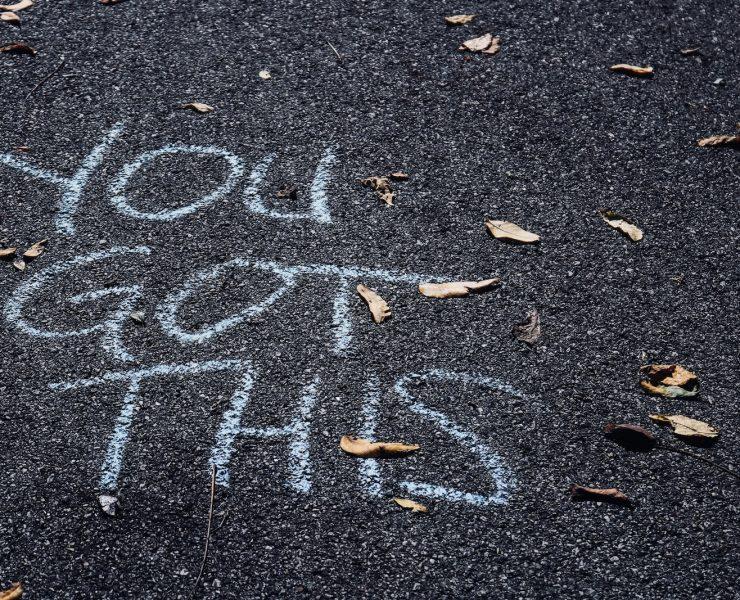 brown dried leaves on sand