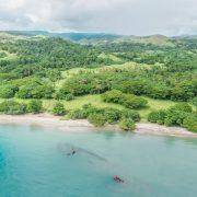 green trees and body of water during daytime