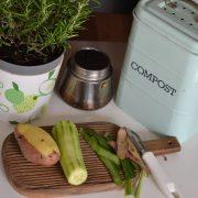 green plant on white and purple floral ceramic pot