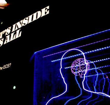 a neon display of a man's head and brain