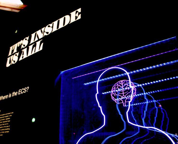 a neon display of a man's head and brain