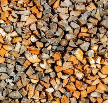 brown and white wooden logs