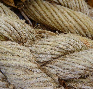 rope, dew, hemp rope