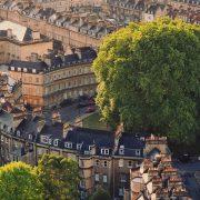 green tree surround by buildings
